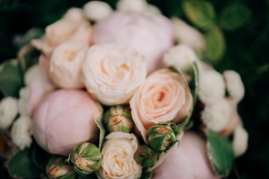 A bouquet of fresh, pale peach and cream roses with tightly packed petals, accompanied by small white blossoms and green foliage. The roses are in various stages of bloom, some in bud form and others 